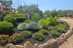 Giardino su misura 4