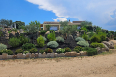 Giardino su misura 2